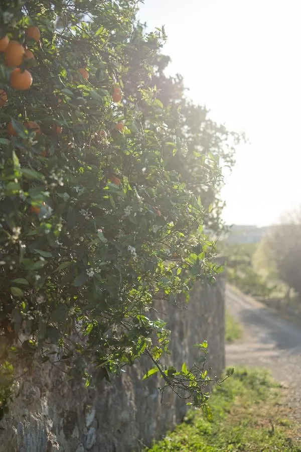 Casa Rural Emilio Con 4 Dormitorios Málaga