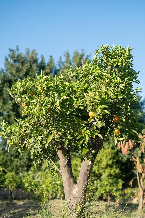 Hébergement de vacances Casa Rural Emilio Con 4 Dormitorios Málaga